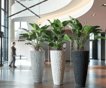 Fleurtations Plantscapes