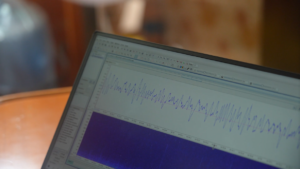 Passive acoustic recordings