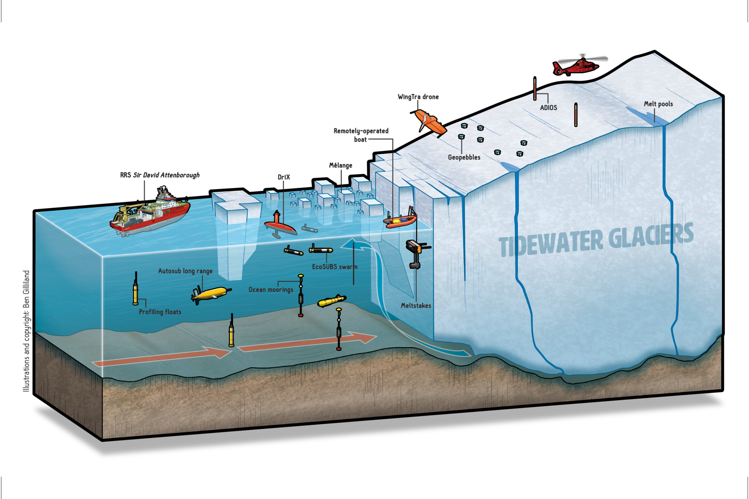 Tidewater glacier